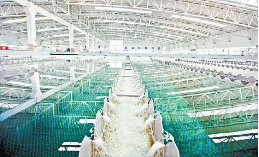 長(zhǎng)陽(yáng)市自來(lái)水凈化處理項(xiàng)目